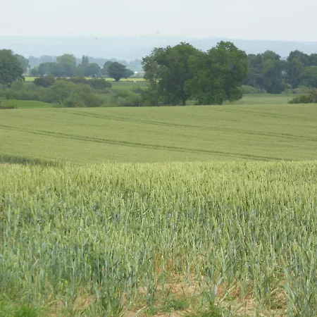 High Oak * Thirsk