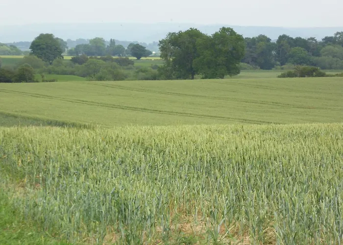 High Oak * Thirsk