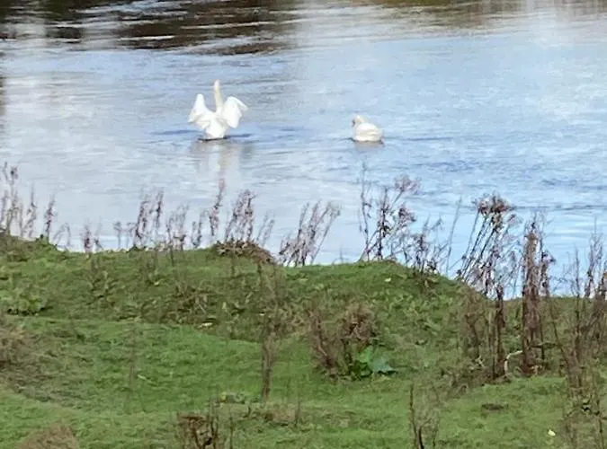 High Oak Holiday home *