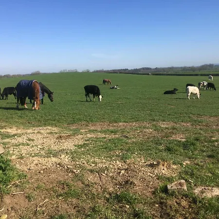 בית נופש High Oak *