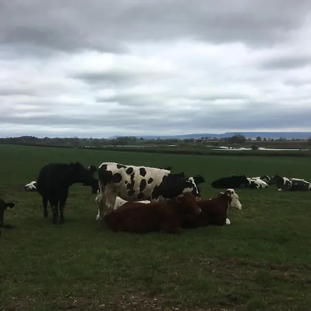 בית נופש High Oak *