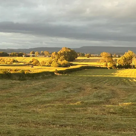 High Oak בית נופש