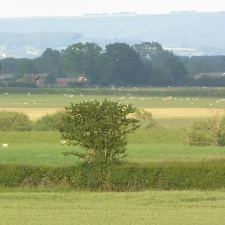 Casa de Férias High Oak