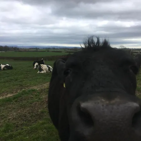 Casa de Férias High Oak *