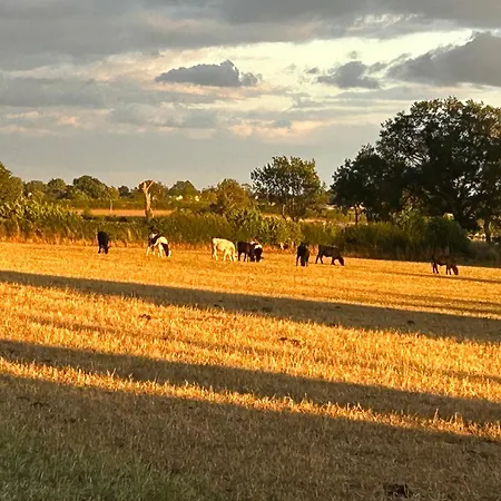 Casa de Férias High Oak